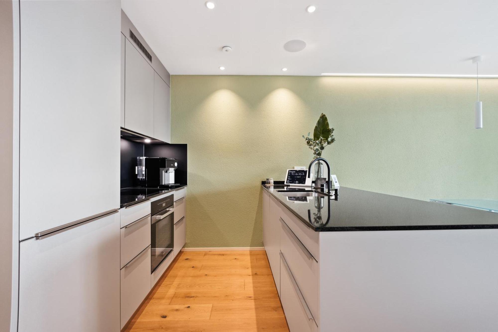 The R Apartment Uetliberg, Klima, Parken - Wallbox Geroldswil Zewnętrze zdjęcie